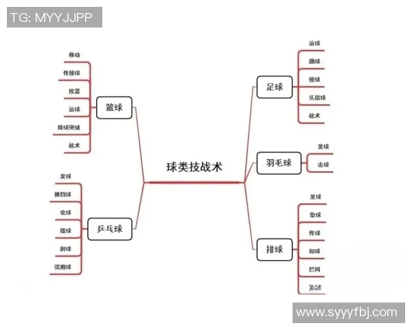 篮球明星的经典动作解析与技巧分享让你也能成为场上焦点