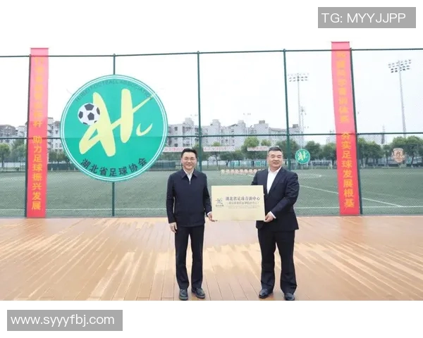 中国足球发展新阶段探索青训体系与职业联赛的深度融合与创新路径